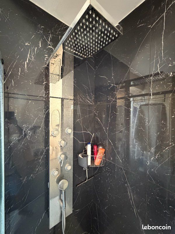Colonne douche hydromassante (image 1)