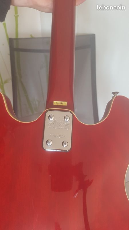 Aria Pro II Es 335 hollow body TA 40 WR (image 2)