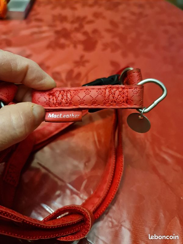 Harnais réglable chien moyen MacLeather (image 3)