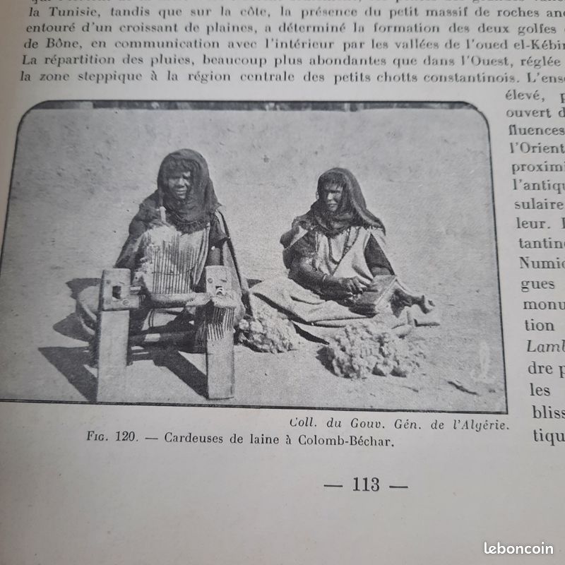 Le domaine colonial Français. Afrique du Nord et Afrique Noire. 1929 (image 9)