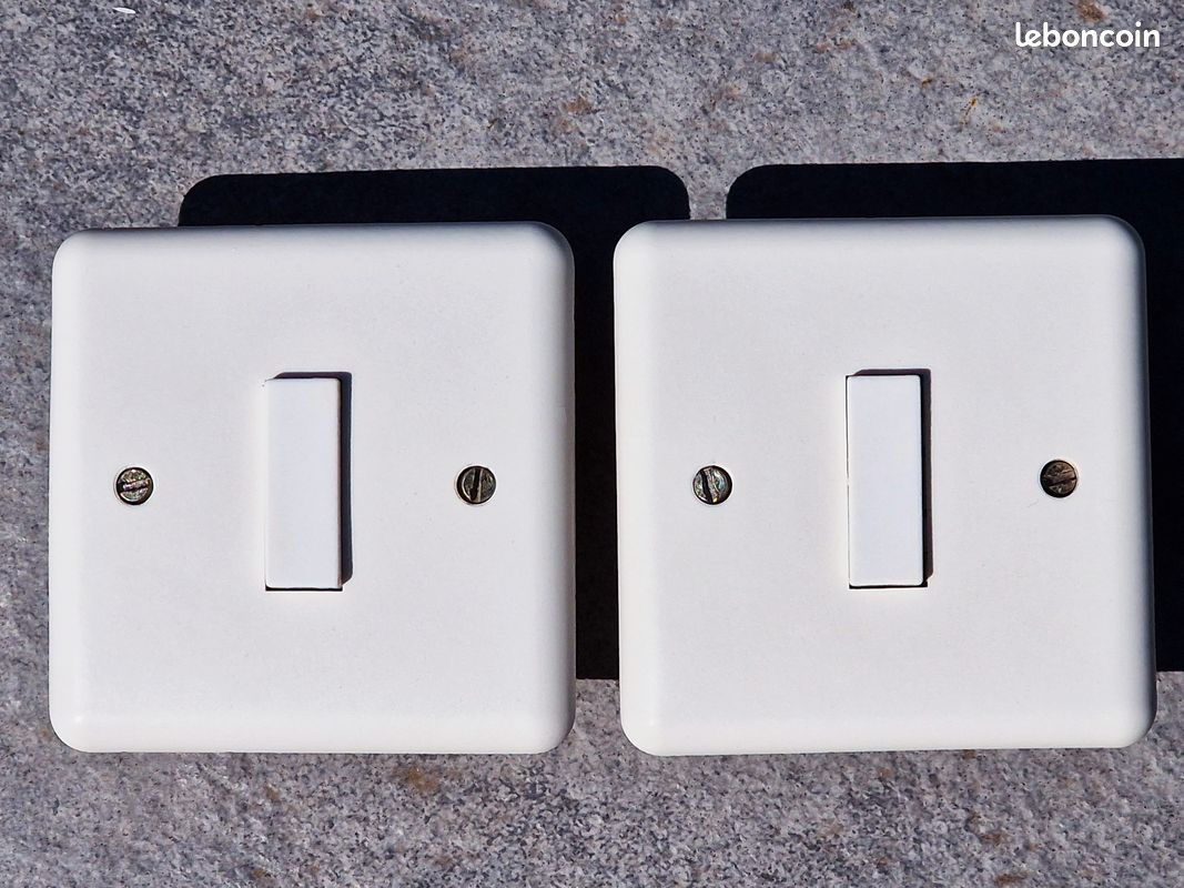 Double Interrupteur Et Poussoir Legrand Neptune 2 – Blanc – Ancien Modèle (80552)