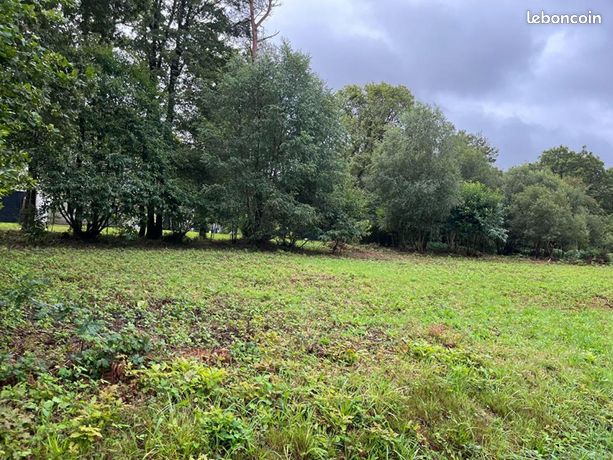 Terrain 1 155 m² Treffrin