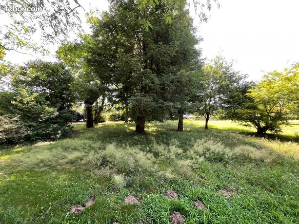 Terrain 1 000 m² Louer