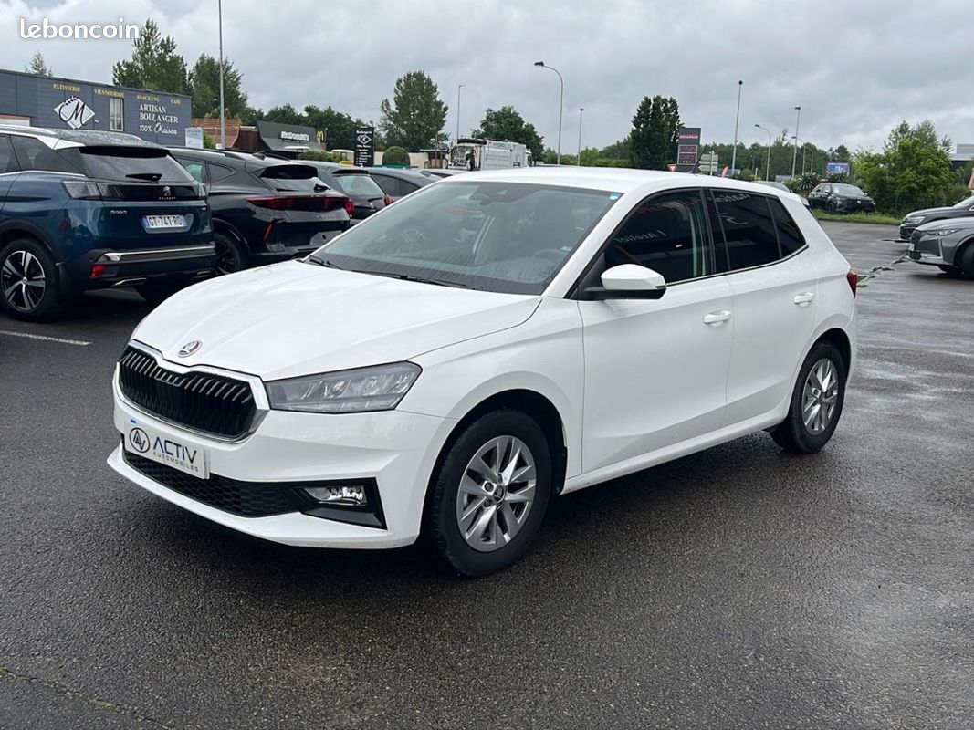 SKODA FABIA 1.0 tsi evo2 95 selection (image 1)