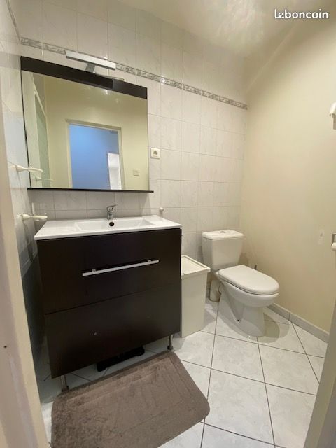 Appartement F3 spacieux , refait à neuf (image 3)