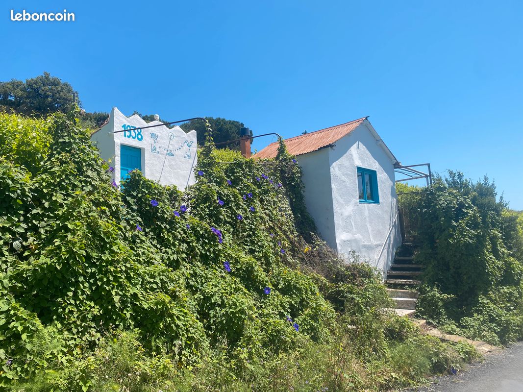 Magnifique vignes collioure · 99 000 €