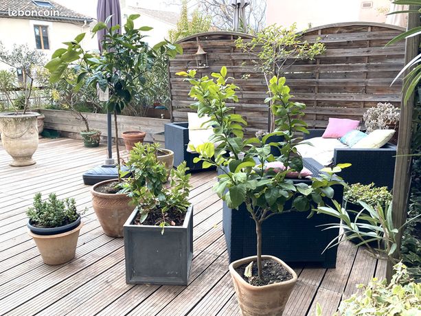 Appartement 4 pièces 86 m²