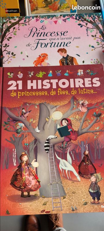 Lot 9 livres enfant (image 3)