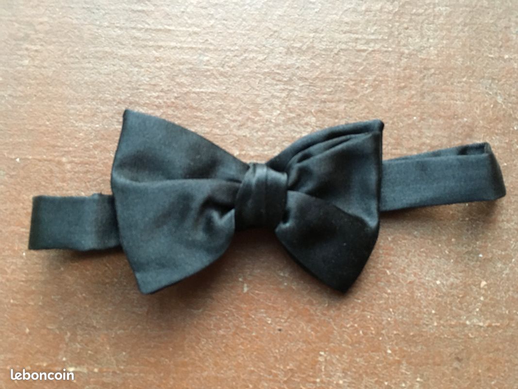 Nœud papillon en soie Nina Ricci (image 1)