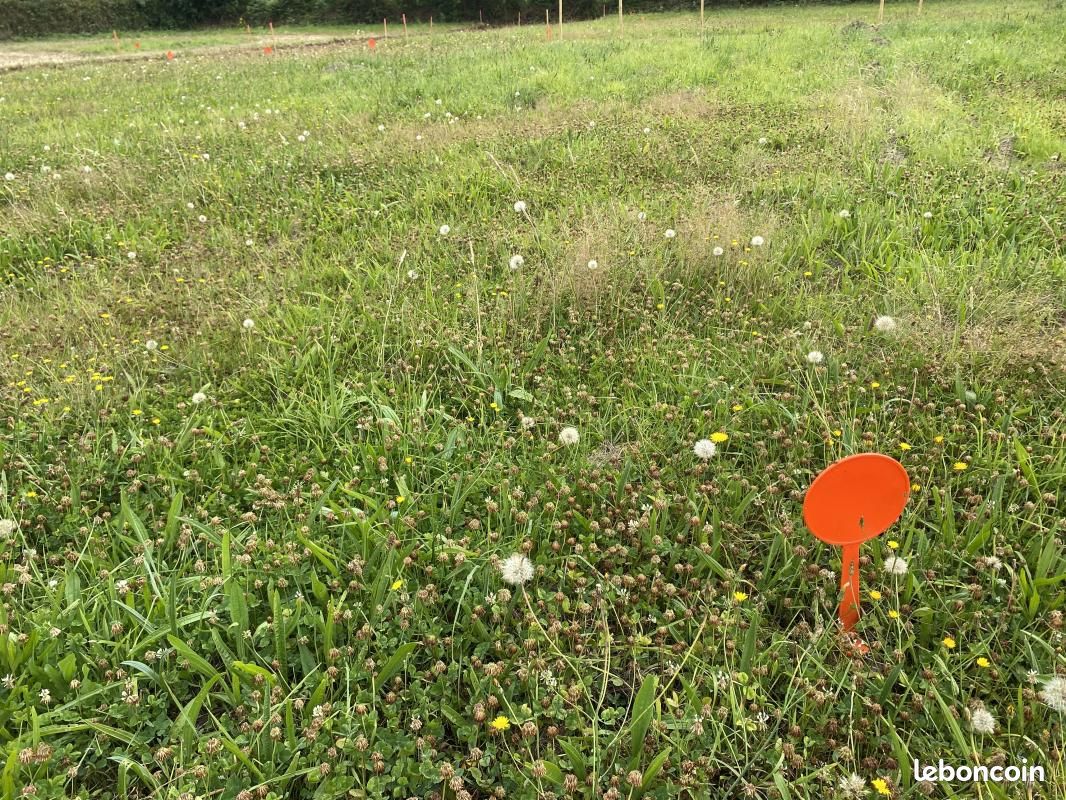 Terrain 510 m² Plouguerneau · 67 000 €