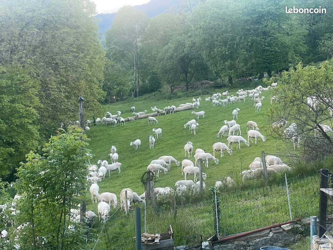 Maison de village avec extérieur à 12mn de Bagnère-de-Luchon (image 18)