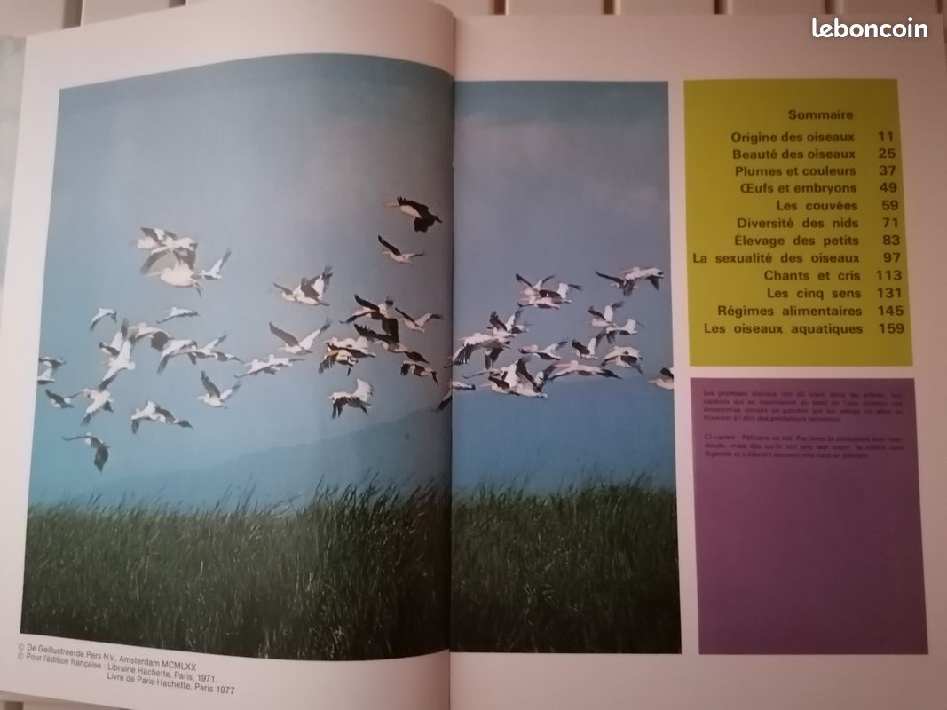 Le monde merveilleux des oiseaux (image 2)