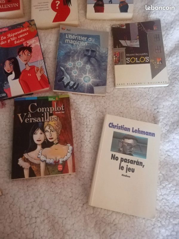 Livres jeunesse (image 3)
