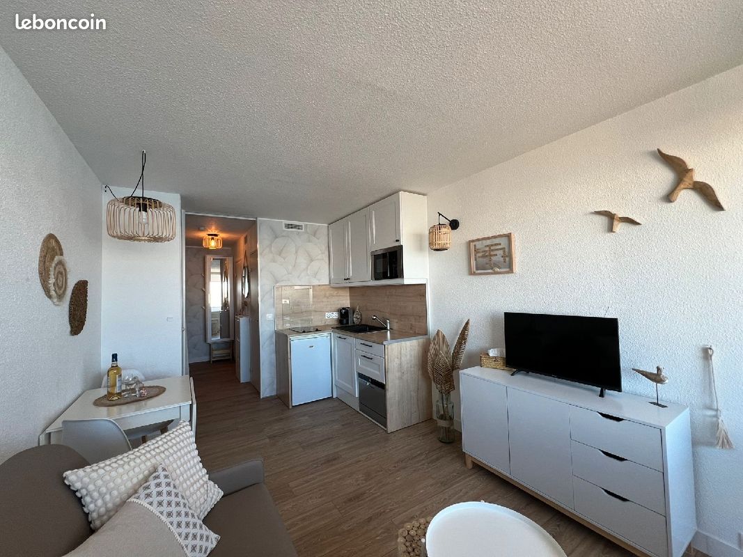 Studio avec vue exceptionnelle - Île des Pécheurs Le Cap d'Agde (image 8)