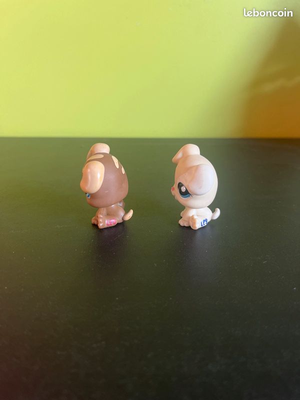 Petshop chiots (image 3)