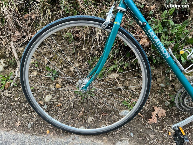 Vélo de route grande taille tout campagnolo Vélos