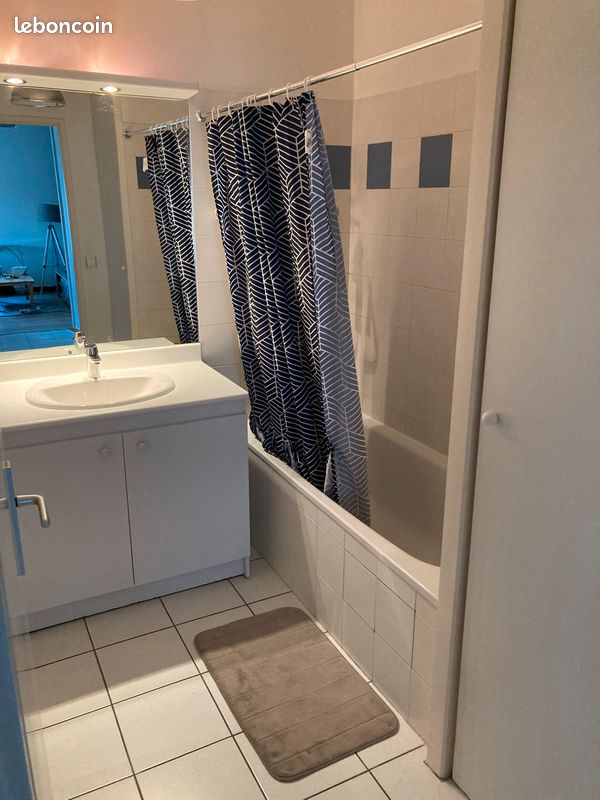 Appartement T2 47m2 meublé - Pessac 33600 (image principale 0)