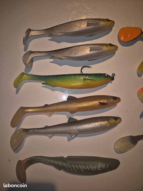Famille de poissons : les carnassiers de la Vallée de la Dordogne