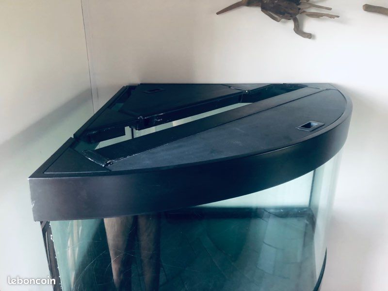 Acquarium (image 3)