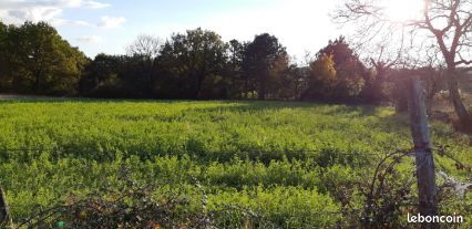Terrain constructible