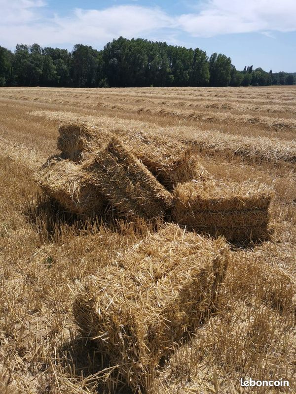 Ballots de paille (image 1)