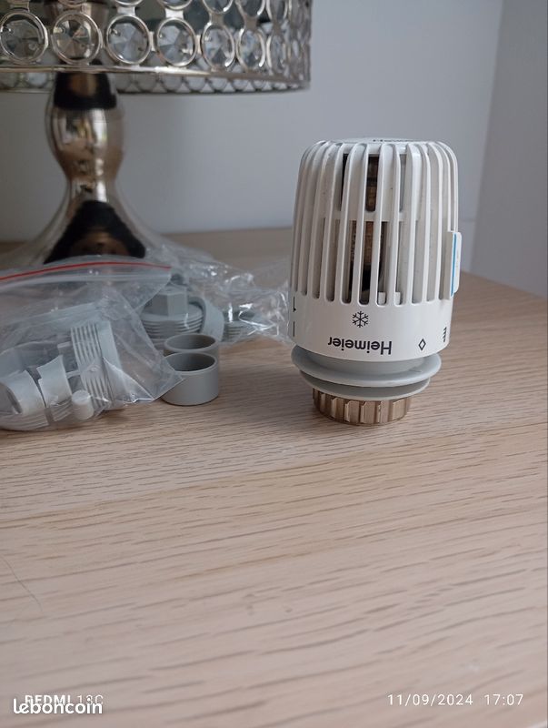 Tête thermostatique pour radiateur (image 6)