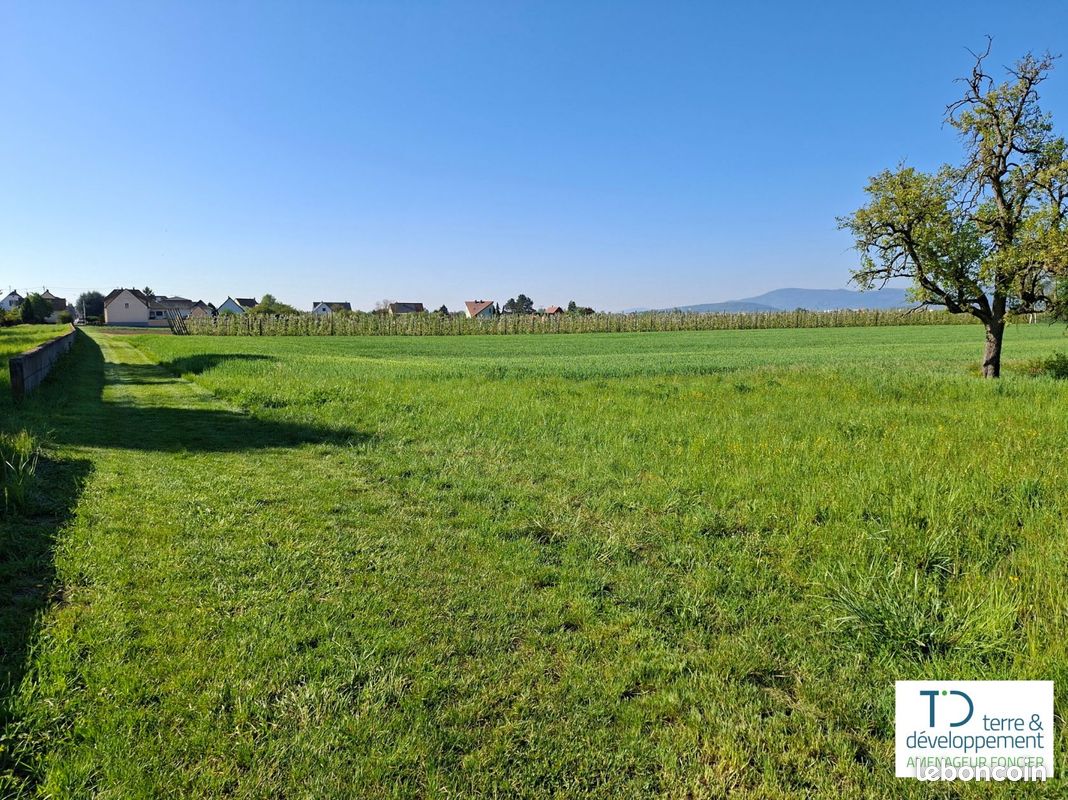 Terrain de 873 m² à DACHSTEIN (BAS-RHIN) · 226 980 €