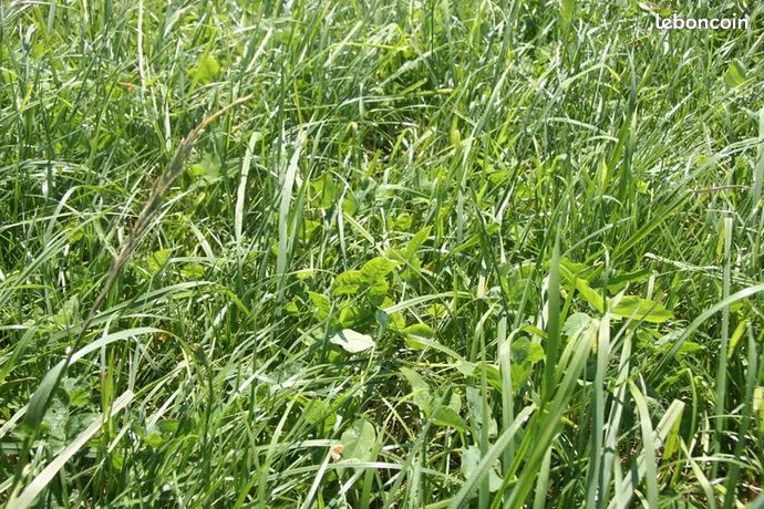 Terrain 846 m² Le Mans
