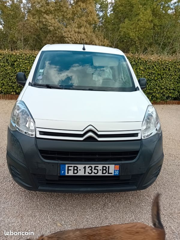 Citroën Berlingo fourgon (image 1)