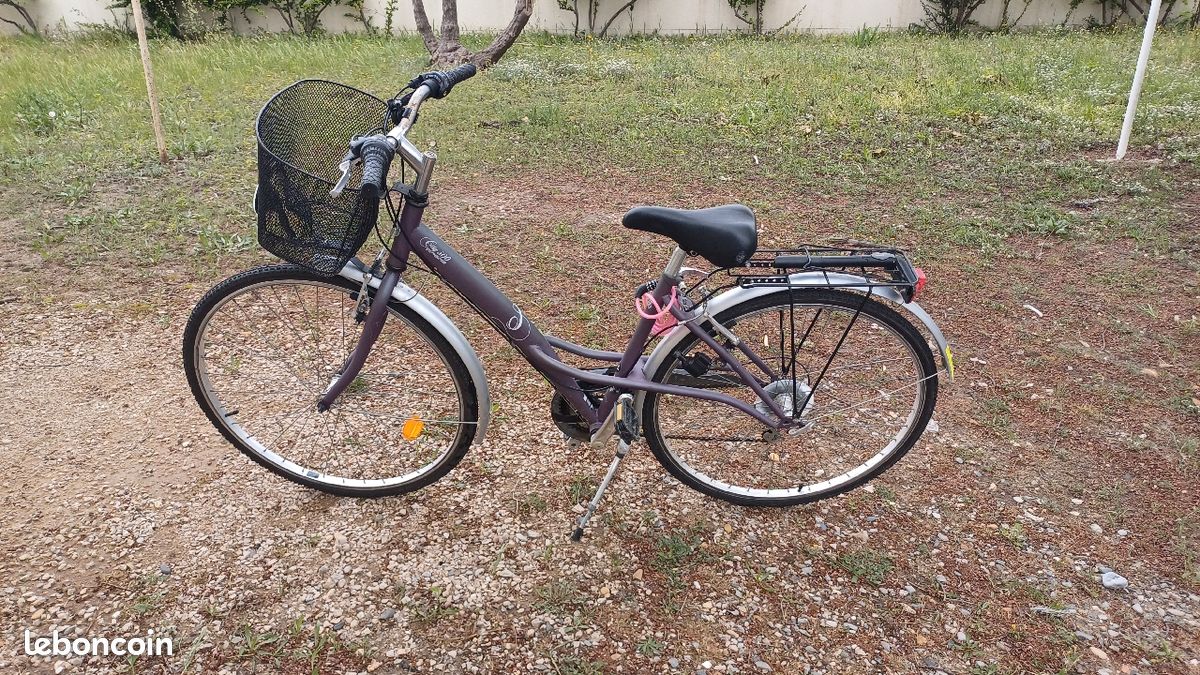 Vélo femme avec panier (image 4)