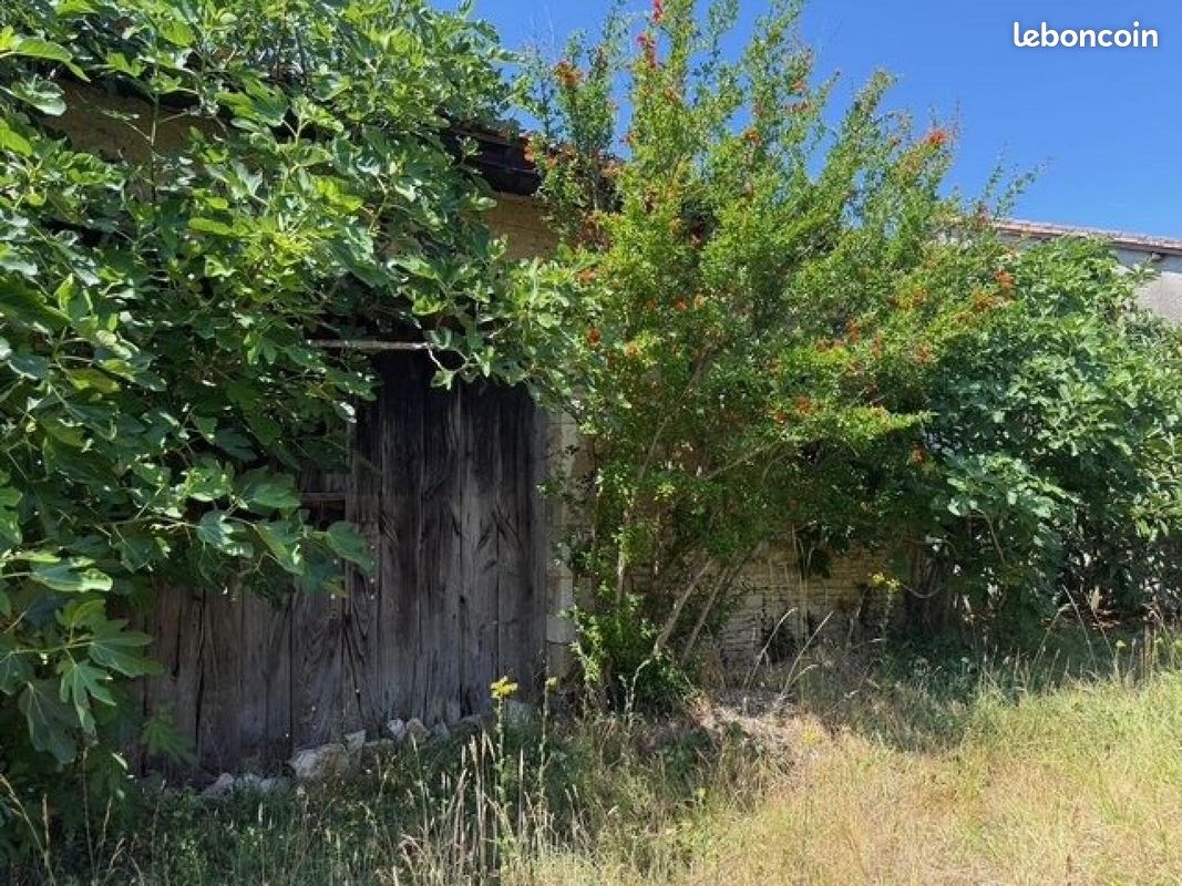 Propriété 1 pièce 127 m² (image 7)