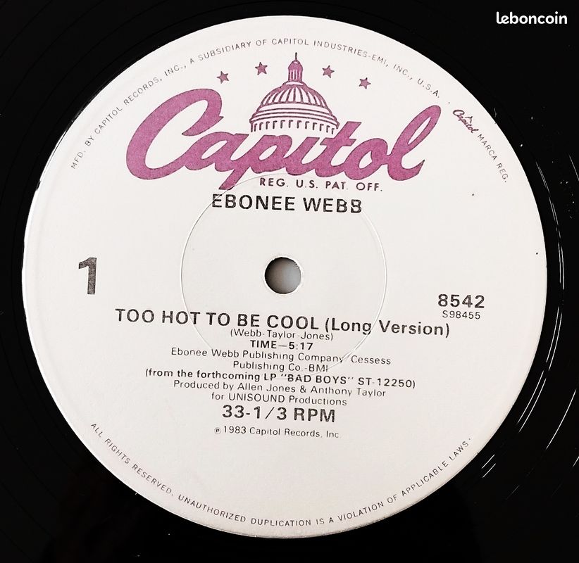 Ebonee Webb - Too Hot To Be Cool (12") (image 2)