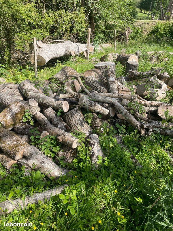Bois (image 5)