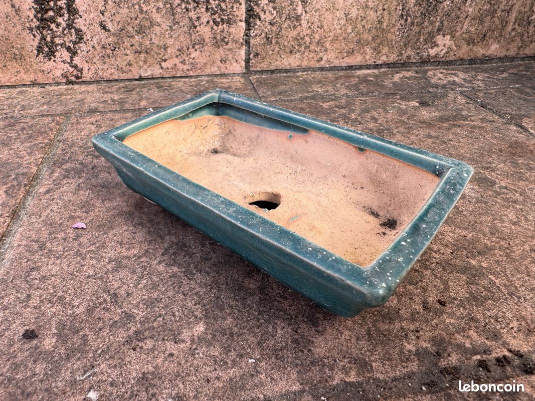Pot à bonsaï - rectangulaire g4 - bleu - l31cm x w24cm x h10,5cm | Truffaut