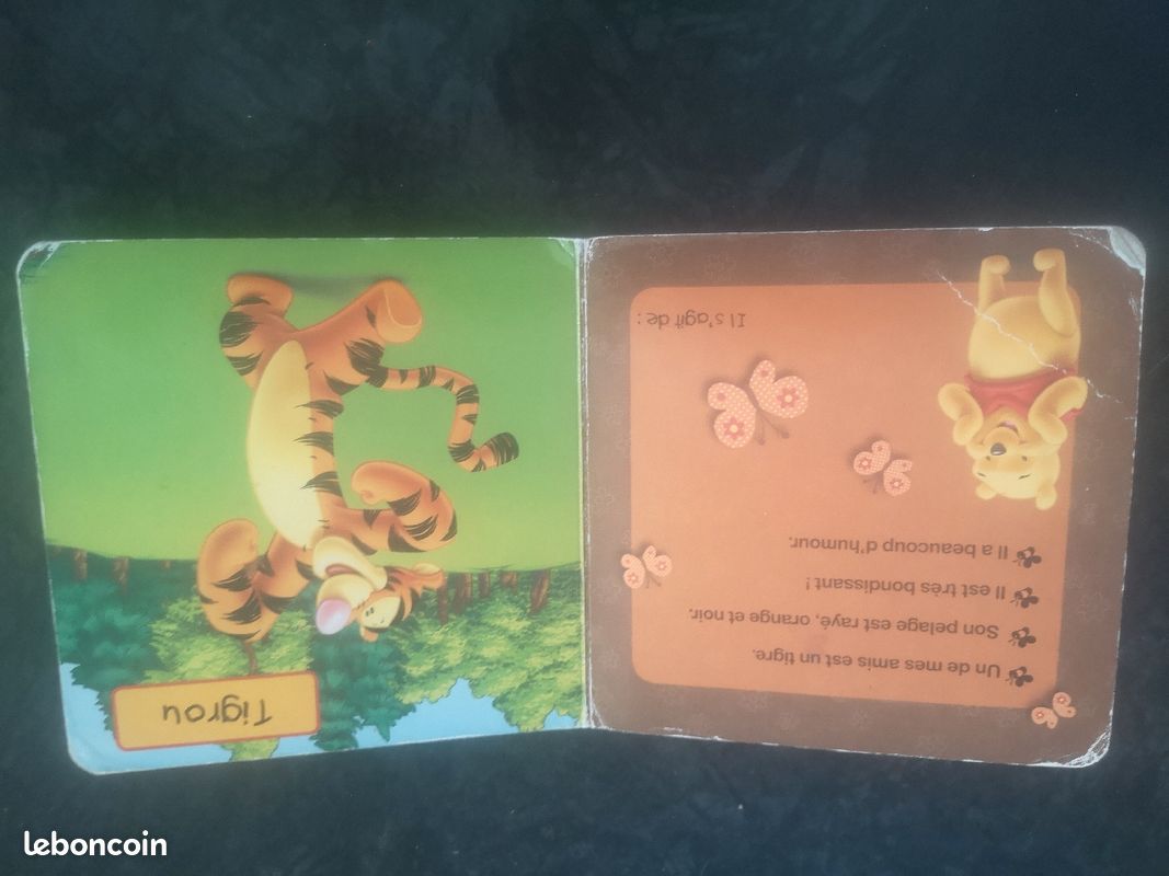 Livre enfant Disney "Winnie l'ourson et ses amis" (image 4)