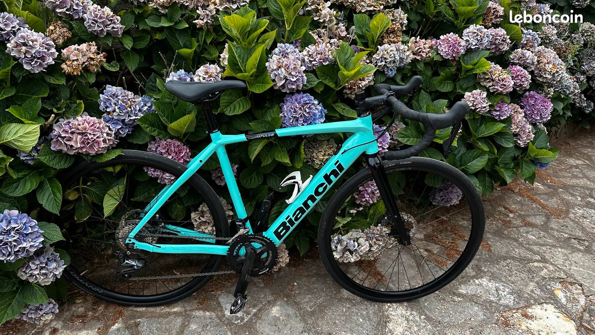 Vélo route électrique Bianchi (image 1)