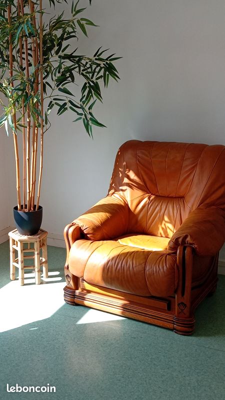 Fauteuil Cuir (image 1)