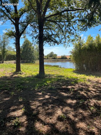 Etang