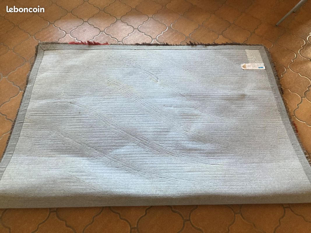 Tapis salon (image 3)
