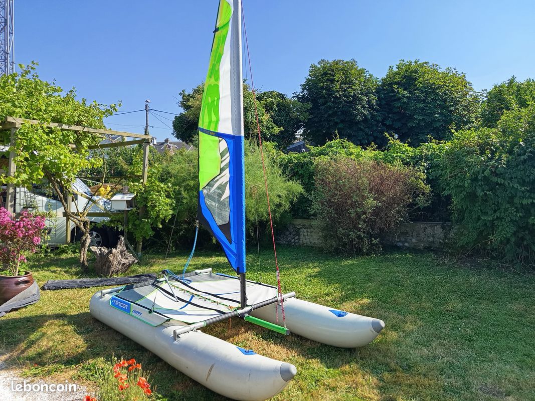 MINICAT GUPPY — Vedi foto 1