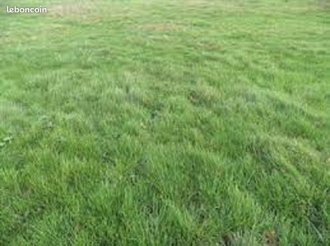 Terrain 1346 m² · à Michery · 25 600 €