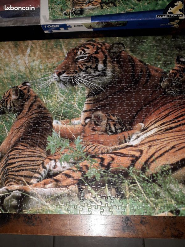 Puzzle 1000 pièces (image 4)