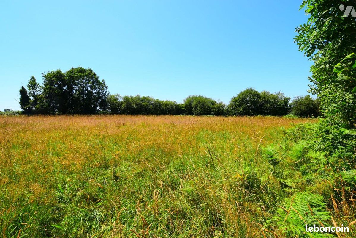 Terrain 18811 m² CERISY LA SALLE (image 3)