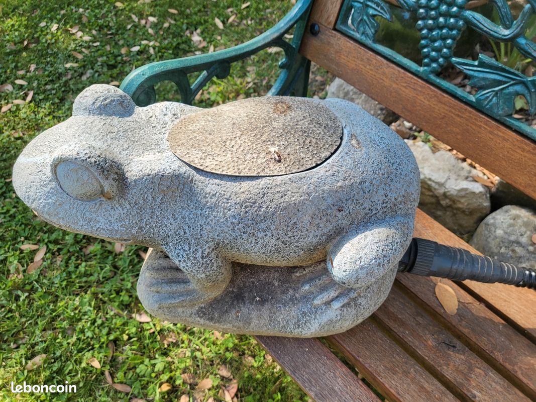 Fontaine grenouille (image 1)