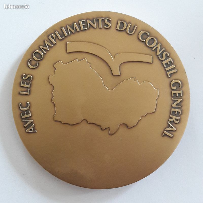 Médaille En Bronze Du Conseil Régional De L'Île De La Réunion - Pièce De Collection, Souvenir