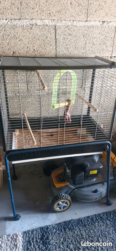 Cage a oiseaux (image 1)