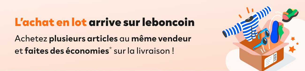 https://img.leboncoin.fr/api/v1/lbcpb5/images/b5600a5f-6941-4e15-beeb-d25ea9c40087?rule=autopromo-1300x-png
