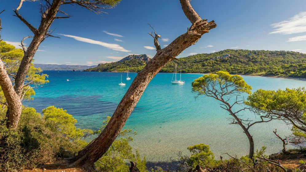 Plage de Notre-Dame, Porquerolles