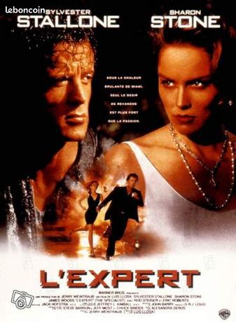 Affiche de cinema : L'expert