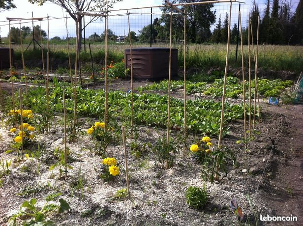 Https Www Le Bon Coin . Jardinage : Outils De Jardinage Tondeuse D